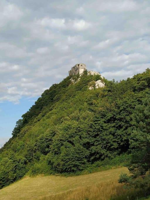 Villa Doma Samobor Eksteriør bilde