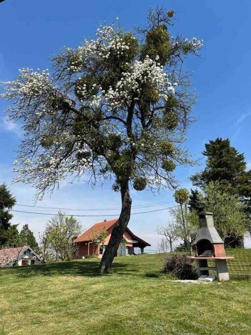 Villa Doma Samobor Eksteriør bilde